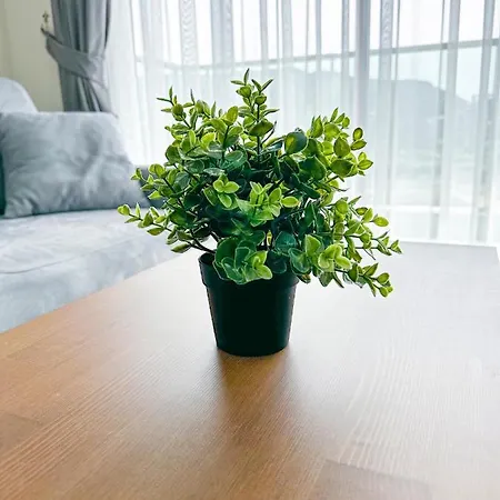 Apartman Kruna Апартаменты Алания